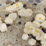 Paulingite<br />Three Mile Creek, Ritter, Grant County, Oregon, USA<br />FOV = 3.4 mm<br /> (Author: Doug)