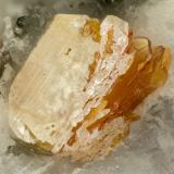 Titanite, BrookiteZona Hansen Creek Crystal, arroyo Hansen, North Bend, Condado King, Washington, USAFOV = 1.6 mm (Author: Doug)