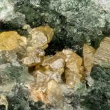 Anatase<br />Hansen Creek Crystal area, Hansen Creek, North Bend, King County, Washington, USA<br />FOV = 1.3 mm<br /> (Author: Doug)