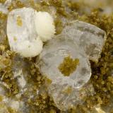 Fluorapophyllite-(K)<br />Devils Backbone, North Fork of John Day River, Ritter, Grant County, Oregon, USA<br />FOV = 3.3 mm<br /> (Author: Doug)