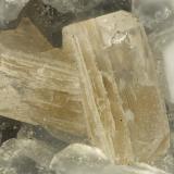 Fluorapophyllite-(K)<br />Big Bend, Kimberley, Grant County, Oregon, USA<br />FOV = 1.8 mm<br /> (Author: Doug)