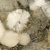 Gyrolite, Phillipsite<br />Big Bend, Kimberley, Grant County, Oregon, USA<br />FOV = 4.0 mm<br /> (Author: Doug)