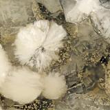 Gyrolite, PhillipsiteBig Bend, Kimberley, Grant County, Oregon, USAFOV = 4.0 mm (Author: Doug)