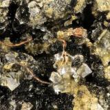 Copper<br />Beaver Valley Quarry, Shine, Jefferson County, Washington, USA<br />FOV = 2.9 mm<br /> (Author: Doug)