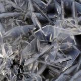 Levyne<br />Rock Candy Mountain, Black Hills, Thurston County, Washington, USA<br />FOV = 4.0 mm<br /> (Author: Doug)