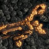 Copper<br />Beaver Valley Quarry, Shine, Jefferson County, Washington, USA<br />FOV = 2.8 mm<br /> (Author: Doug)