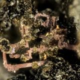 Copper<br />Beaver Valley Quarry, Shine, Jefferson County, Washington, USA<br />FOV = 2.5 mm<br /> (Author: Doug)