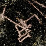 Copper<br />Beaver Valley Quarry, Shine, Jefferson County, Washington, USA<br />FOV = 3.4 mm<br /> (Author: Doug)
