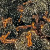 Copper<br />Beaver Valley Quarry, Shine, Jefferson County, Washington, USA<br />FOV = 3.4 mm<br /> (Author: Doug)