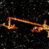 Copper<br />Beaver Valley Quarry, Shine, Jefferson County, Washington, USA<br />FOV = 3.2 mm<br /> (Author: Doug)