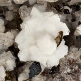 Cristobalite<br />Summit Rock, Klamath County, Oregon, USA<br />FOV = 3.3 mm<br /> (Author: Doug)