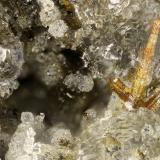 Pyrite, Clinoptilolite-Na<br />Yaquina Head Quarry, Agate Beach, Lincoln County, Oregon, USA<br />FOV = 2.6 mm<br /> (Author: Doug)