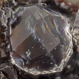 Analcime<br />Neer Road, Goble, Columbia County, Oregon, USA<br />FOV = 3.3 mm<br /> (Author: Doug)