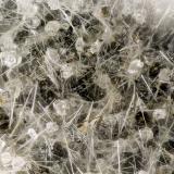 Erionite-K, Clinoptilolite-Ca, Pyrite<br />Rock Island Dam, Rock Island, Douglas County, Washington, USA<br />FOV = 2.8 mm<br /> (Author: Doug)