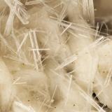 Natrolite, Levyne<br />Beaver Valley Quarry, Shine, Jefferson County, Washington, USA<br />FOV = 3.7 mm<br /> (Author: Doug)