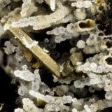 Pyrite<br />Yaquina Head Quarry, Agate Beach, Lincoln County, Oregon, USA<br />FOV = 2.6 mm<br /> (Author: Doug)