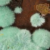 Strashimirite<br />Majuba Hill Mine, Antelope District, Pershing County, Nevada, USA<br /><br /> (Author: Doug)