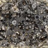 Analcime, Thomsonite<br />Four Mile Quarry, Porter, Grays Harbor County, Washington, USA<br />FOV = 3.6 mm<br /> (Author: Doug)