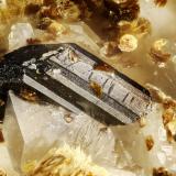 Allanite-(Ce)<br />Washington Pass, Golden Horn Batholith, Okanogan County, Washington, USA<br />FOV = 0.9 mm<br /> (Author: Doug)