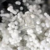 Mordenite, Erionite, Clinoptilolite-Ca<br />Cape Lookout Quarry, Netarts, Tillamook County, Oregon, USA<br />FOV = 3.8 mm<br /> (Author: Doug)