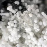 Mordenite, Erionite, Clinoptilolite-CaCantera Cape Lookout, Netarts, Condado Tillamook, Oregon, USAFOV = 3.8 mm (Author: Doug)