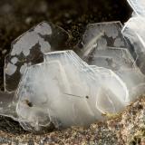 Levyne<br />Beech Creek Quarry, Mount Vernon, Grant County, Oregon, USA<br />FOV = 3.1 mm<br /> (Author: Doug)