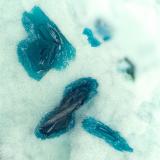 Clinoclase<br />Majuba Hill Mine, Antelope District, Pershing County, Nevada, USA<br />FOV = 1.3 mm<br /> (Author: Doug)