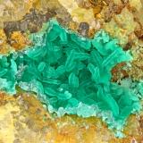 Cornwallite<br />Majuba Hill Mine, Antelope District, Pershing County, Nevada, USA<br />FOV = 3.0 mm<br /> (Author: Doug)
