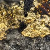 Gold<br />Silbak Premier Mine, Stewart, Skeena Mining Division, British Columbia, Canada<br />FOV = 1.9 mm<br /> (Author: Doug)