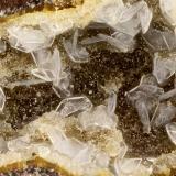 Levyne<br />Neer Road, Goble, Columbia County, Oregon, USA<br />FOV = 3.6 mm<br /> (Author: Doug)