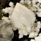 Gismondine<br />KwaZulu-Natal Province, South Africa<br />FOV = 3.7 mm<br /> (Author: Doug)