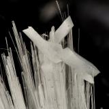 Laumontite, Scolecite<br />200/237 Road Quarry, Wolf Point, Cowlitz County, Washington, USA<br />FOV = 3.9 mm<br /> (Author: Doug)