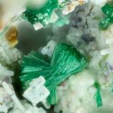 Parnauite<br />Majuba Hill Mine, Antelope District, Pershing County, Nevada, USA<br />FOV = 1.6 mm<br /> (Author: Doug)