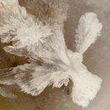 Austinite<br />Gold Hill Mine, Gold Hill, Gold Hill District, Tooele County, Utah, USA<br />FOV = 3.4 mm<br /> (Author: Doug)