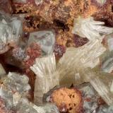 Mimetite, Carminite, Scorodite<br />Gold Hill Mine, Gold Hill, Gold Hill District, Tooele County, Utah, USA<br />FOV = 3.0 mm<br /> (Author: Doug)