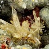 Mimetite, Carminite, Scorodite<br />Gold Hill Mine, Gold Hill, Gold Hill District, Tooele County, Utah, USA<br />FOV = 2.8 mm<br /> (Author: Doug)