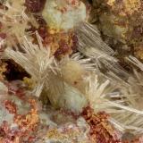 Mimetite, Carminite, Scorodite<br />Gold Hill Mine, Gold Hill, Gold Hill District, Tooele County, Utah, USA<br />fov = 3.7 mm<br /> (Author: Doug)