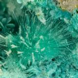 Mixite<br />Gold Hill Mine, Gold Hill, Gold Hill District, Tooele County, Utah, USA<br />FOV = 3.6 mm<br /> (Author: Doug)