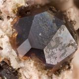 AlmandineGarnet Hill, Ely, Distrito Robinson, Condado White Pine, Nevada, USAFOV = 2.3 mm (Author: Doug)