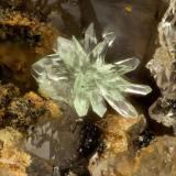 Austinite<br />Gold Hill Mine, Gold Hill, Gold Hill District, Tooele County, Utah, USA<br />FOV = 0.9 mm<br /> (Author: Doug)