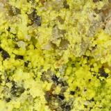 Tyuyamunite<br />Parco Mine Group, Yellow Cat Mesa, Thompsons District (S.E. Thompsons), Grand County, Utah, USA<br />FOV = 2.9 mm<br /> (Author: Doug)