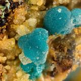 RosasiteGeneral Thomas Mine, Lone Mountain District, Esmeralda County, Nevada, USAFOV = 3.2 mm (Author: Doug)