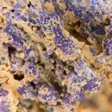 PhosphosideriteWilliams pegmatite, Clay, Coosa County, Alabama, USAFOV = 3.3 mm (Author: Doug)