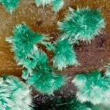 Malachite<br />Gold Hill Mine, Gold Hill, Gold Hill District, Tooele County, Utah, USA<br />FOV = 3.0 mm<br /> (Author: Doug)