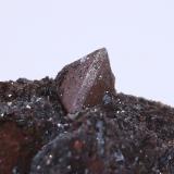 ZunyiteBandar Abbas, Distrito Central, Condado Bandar Abbas, Provincia Hormozgan, Iránthe crystal on matrix is 1 cm (Author: Arash Ghafari)