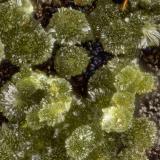 Lipscombite<br />Silver Coin Mine, Valmy, Iron Point District, Humboldt County, Nevada, USA<br />FOV = 0.8 mm<br /> (Author: Doug)