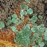 Adamite<br />Simon Mine, Bell District, Mineral County, Nevada, USA<br />FOV = 3.1 mm<br /> (Author: Doug)