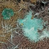 Mixite, Adamite<br />Simon Mine, Bell District, Mineral County, Nevada, USA<br />FOV = 3.9 mm<br /> (Author: Doug)