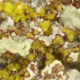 Gartrellite, Carminite<br />Gold Hill Mine, Gold Hill, Gold Hill District, Tooele County, Utah, USA<br />FOV = 1.7 mm<br /> (Author: Doug)