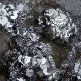 Chalcophanite, Hydrohetaerolite<br />Gold Hill Mine, Gold Hill, Gold Hill District, Tooele County, Utah, USA<br />FOV = 1.5 mm<br /> (Author: Doug)